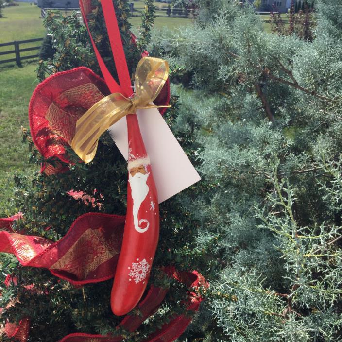 Swirly Beard Santa Christmas GourdAment Signed For Xmas Tree Tree  6-7