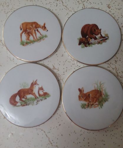 Coaster set rustic Wildlife Babies