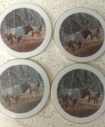 Coaster set rustic elk scene