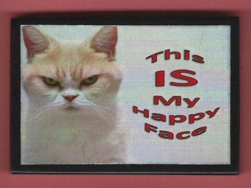 Angry Cat This IS My Happy Face Handmade Wooden Magnet No.mp35-5