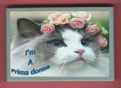 Beautiful Cat Wearing Flowers I'm A Prima donna Handmade Wooden Magnet No.mp33-9