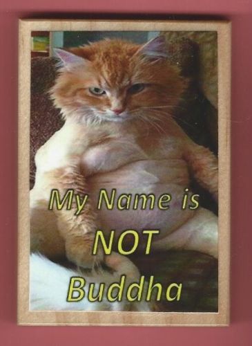 Fat Cat My Name is NOT Buddha Handmade Wooden Magnet No.mp32-5