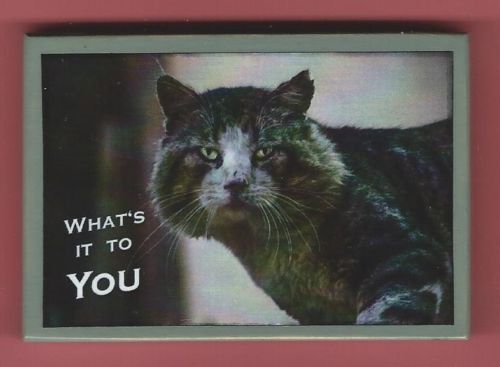 Tiger Cat What's It To YOU Handmade Wooden Magnet No.mp19-8