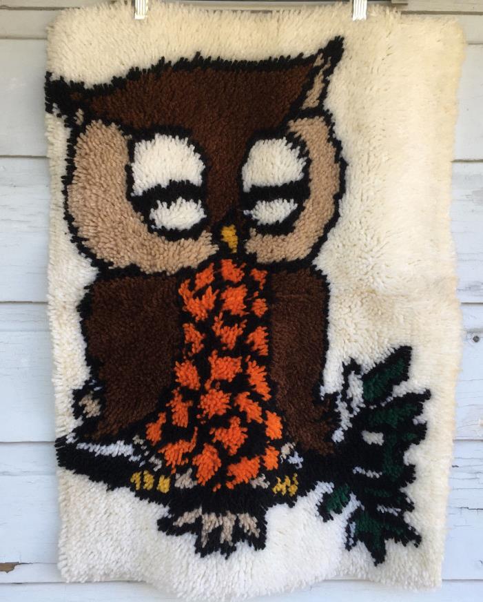 Latch Hook Sleeping Owl Completed Rug Wall Hanging 19