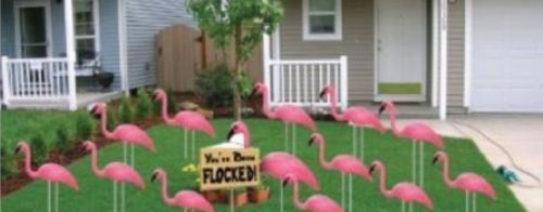 13 Piece Flamengo Flocked Home and Garden Decorations Stake set Pink Birds