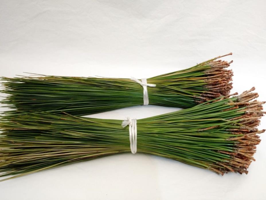 Mississippi Long Leaf Pine Needles Straw Basket Weaving Green 2+ Pounds 12