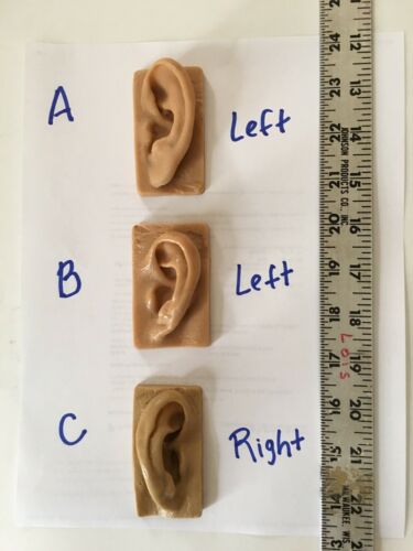 Silicone Rubber EAR Molds Examples Sculpting Carving Modeling Artist