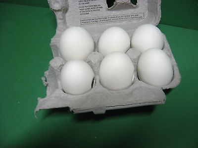 6  CHIC  EGGS  U-PAINT-IT  CERAMIC  BISQUE   MADE IN USA   AWESOME !!!