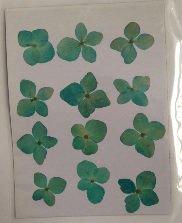 180pcs Dried Pressed Hydrangea Flowers