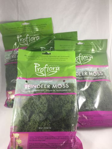 Lot Of 4 Reindeer Moss Proflora. 2 Oz Packages