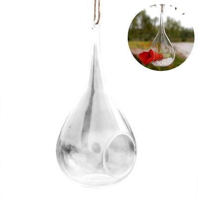 Tear drop Terrarium Vase