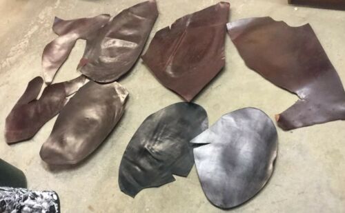Assorted Colors shell Cordovan( 19 1/4 Sq. Feet)
