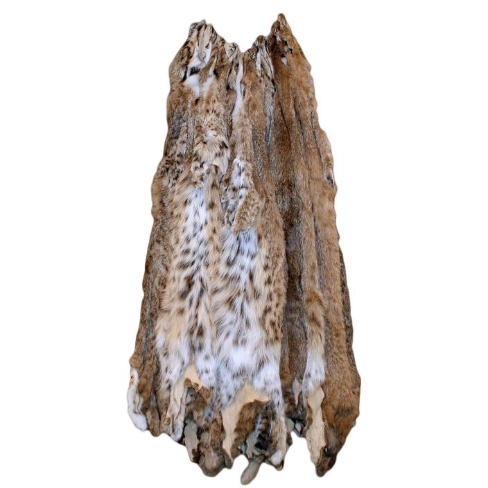 Glacier Wear First Quality Bobcat Pelt Hide Fur NE bct1006