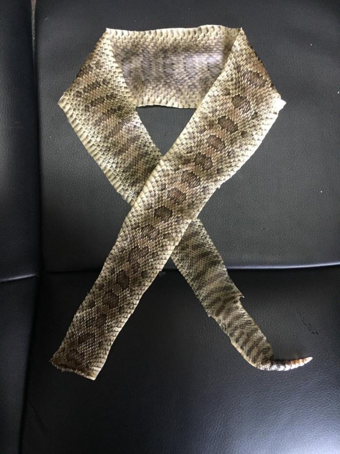 Prairie Rattlesnake Tanned Hide Rattler Pen Bow Wrap 30 X 2 1/2