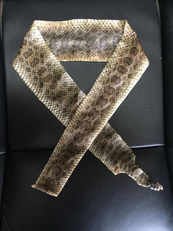 Prairie Rattlesnake Tanned Hide Rattler Pen Bow Wrap 32 X 2 3/4