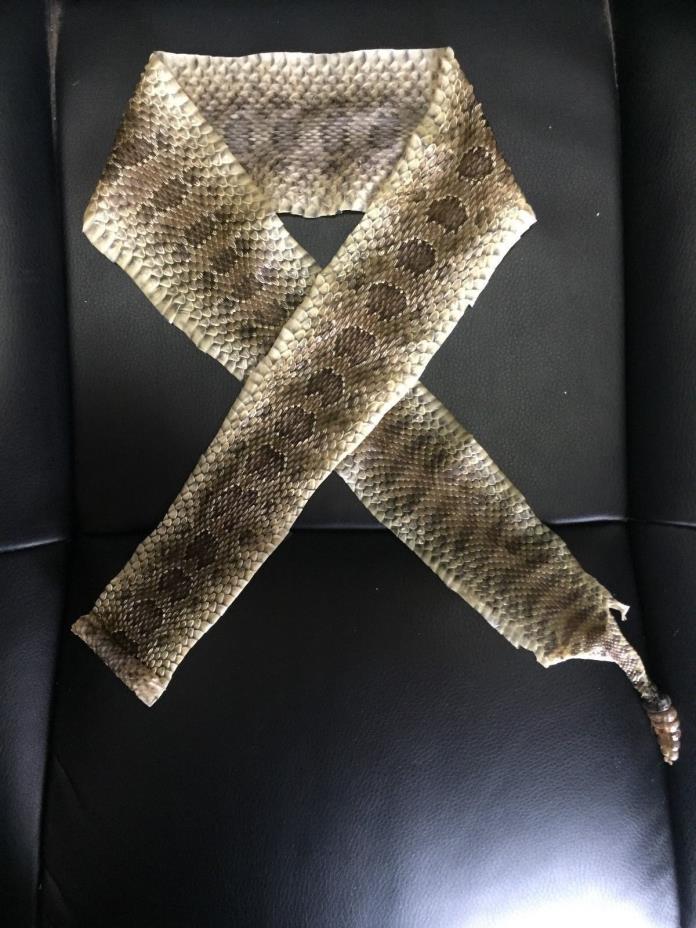 Prairie Rattlesnake Tanned Hide Rattler Pen Bow Wrap 35 X 3