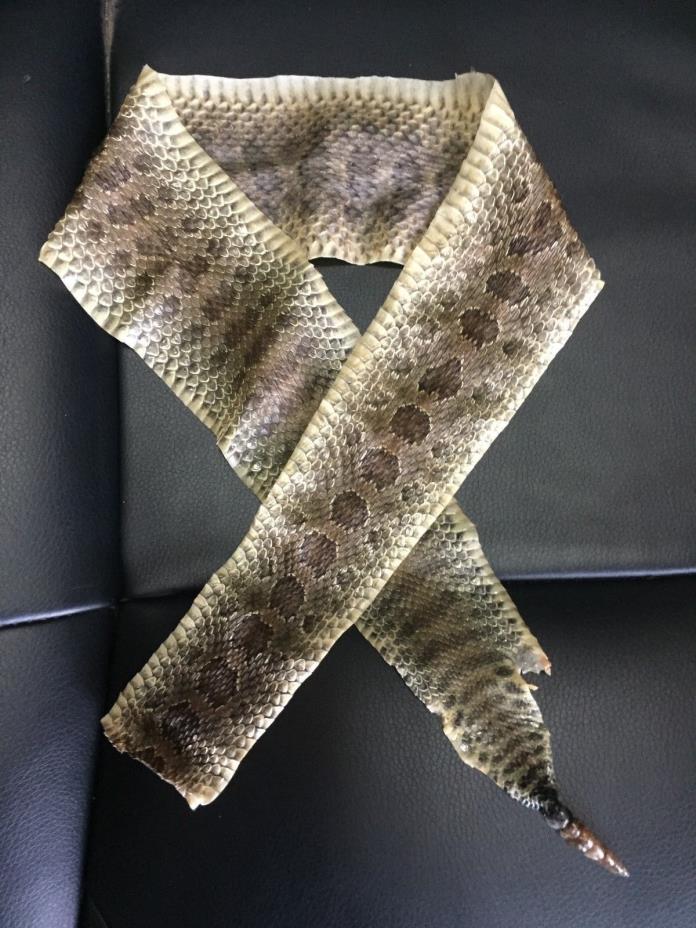 Prairie Rattlesnake Tanned Hide Rattler Pen Bow Wrap 31 X 3