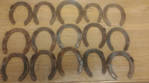 Horse Shoes Preowned Mixed Lot Of 15