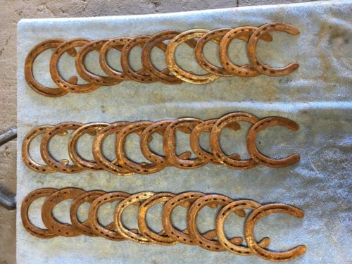 30 Used Steel Horseshoes, Straight, Nails Removed, No Clips, No Drill Tech
