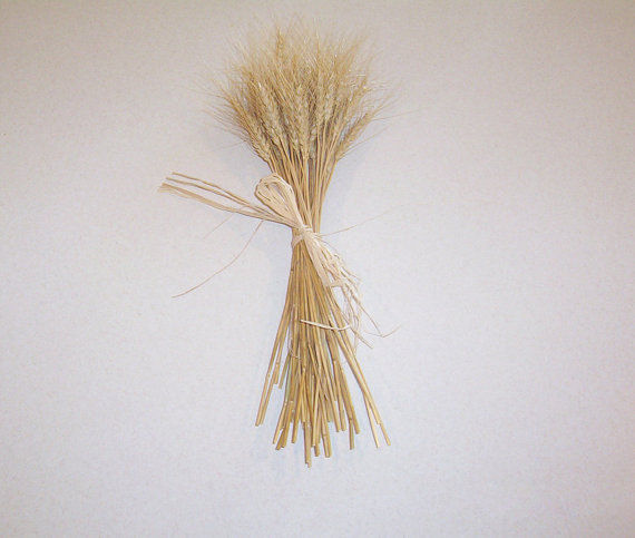 Dried Wheat Bundle for Home Decor Weddings Weaving Homegrown 50 Stalks