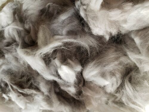 English Angora Rabbit fiber Raw Prime Wool 11 ounces Light grey white & black