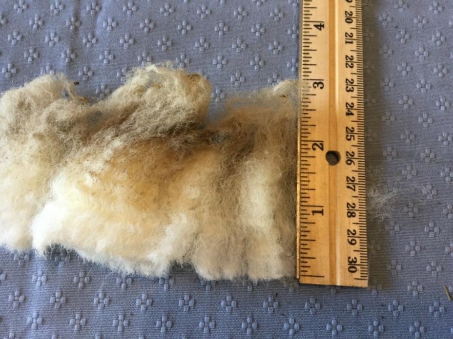 Raw White Targhee Cross Wool Fleece 5.5 lbs 26.8micron/56s SH-1