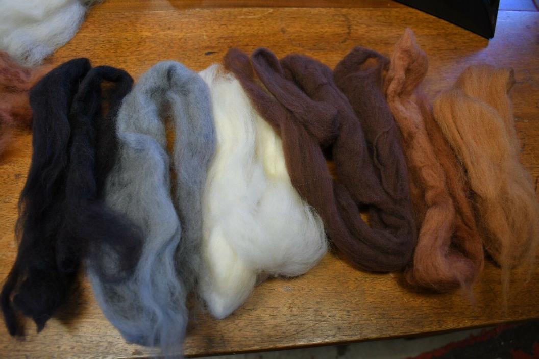 Earth Pack Corry X Wool Tops 2 Ounces