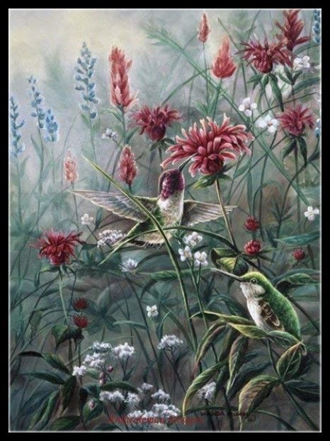 Monardia - Chart Counted Cross Stitch Pattern Needlework DIY DMC Color