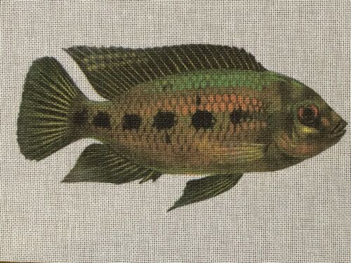 Hand Painted Needlepoint Canvas Mesh Fish Green Black Orange Camoflauge New