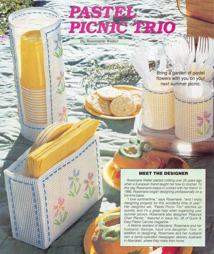 Pastel Picnic Trio * Plastic Canvas Pattern * Flowers Napkin Holder Caddy Holder