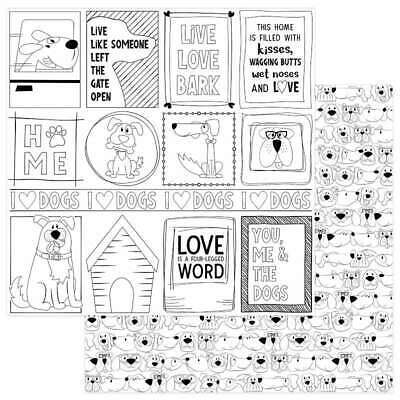 Fetch Double-Sided Cardstock 12