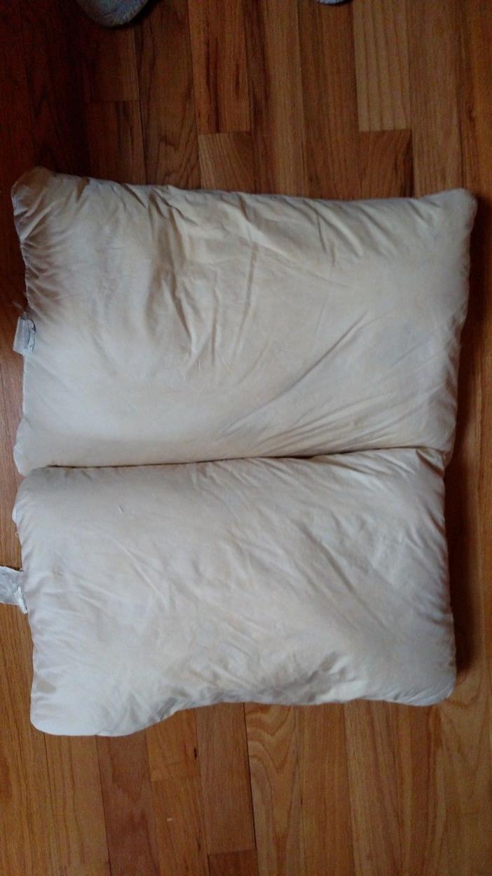 2 - Used White Goose Down Pillows for filling (see label photos for contents)