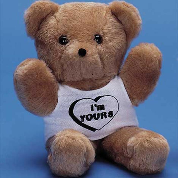 Plush Teddy Bear & T-Shirt Kit, Ready to Cut & Sew, 13 Inches, Made in USA