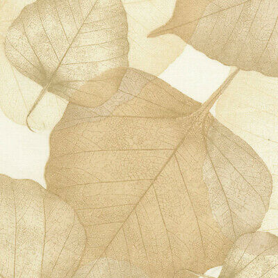 Timeless Treasures 108 Inch Wide Quilt Back Cream Leaves