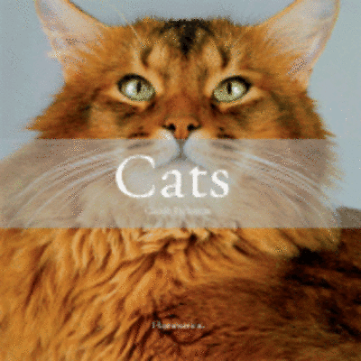 Cats by Claude Pacheteau: Used