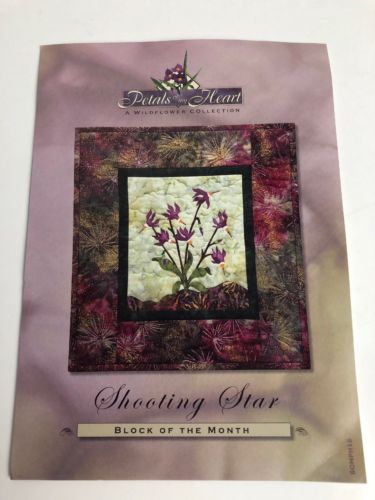 Petals Of My Heart Shooting Star Art Quilt Pattern Block Sixteen