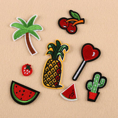 8Pcs Embroidery Cactus Fruit Sew Iron On Patch Badge Clothes Fabric Applique DEN