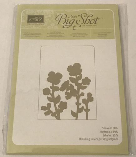 Stampin Up WILDFLOWER MEADOW Textured Impressions Embossing Folder Sizzix