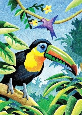 Royal & Langnickel Mini Colour Pencil By Number Kit: 5x7 Tropical Birds