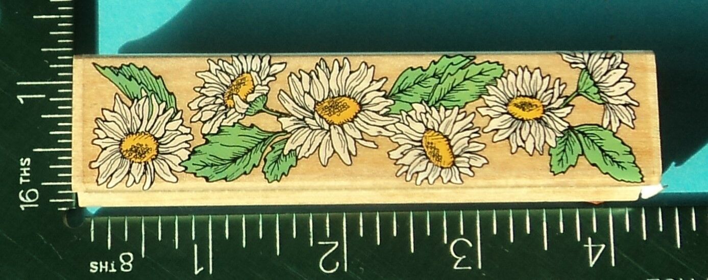 DAISIES Flower Rubber Stamp by Hero Arts