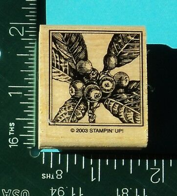 BERRIES and LEAVES Rubber Stamp by STAMPIN UP