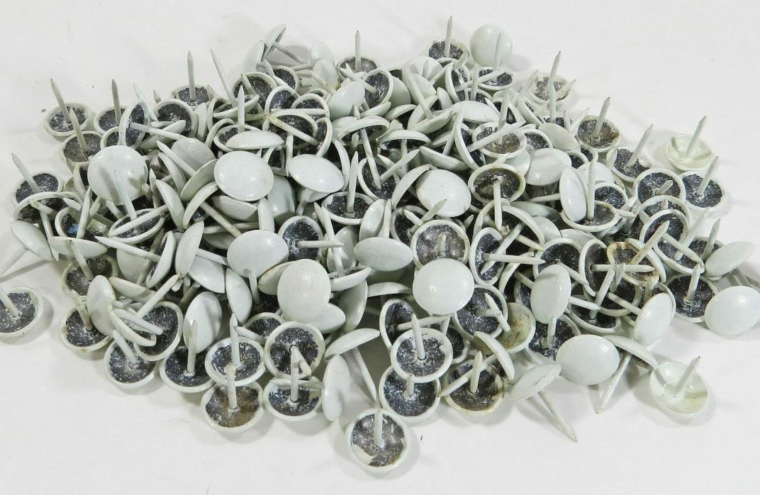 250 Each White Smooth Decorative Upholstery Nails