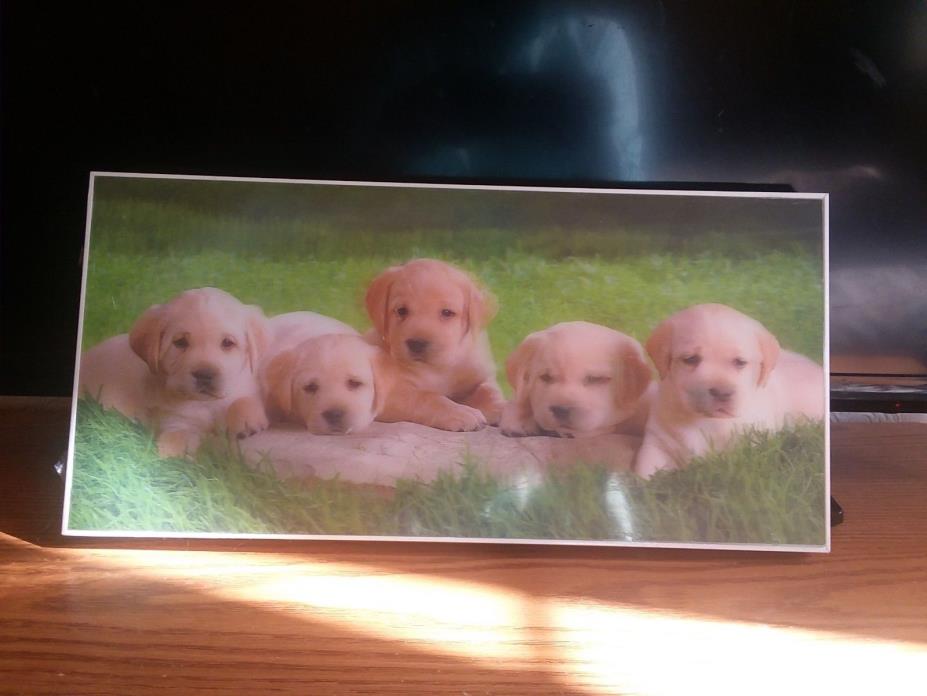 New - 3D Lenticular Stereoscopic Print Paint Picture - Puppies