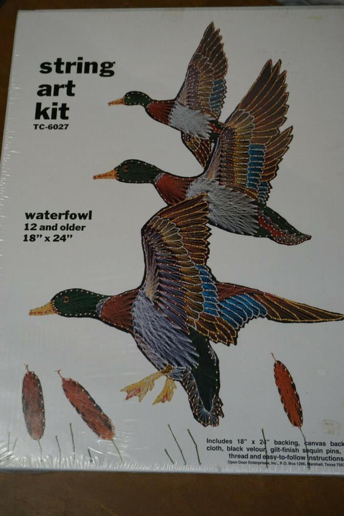 VINTAGE STRING ART KIT WATERFOWL MALLARDS 18