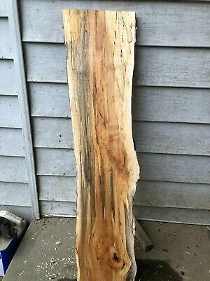 Spalted  Natural edge maple slab