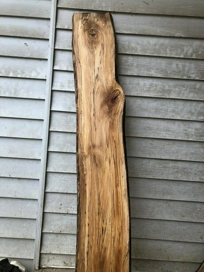 Spalted  Natural Edge  Sycamore slab