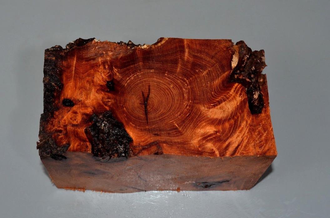 Mesquite Burl Wood Block Woodturning Casting Bowls Jewelry Resawing Display Pens