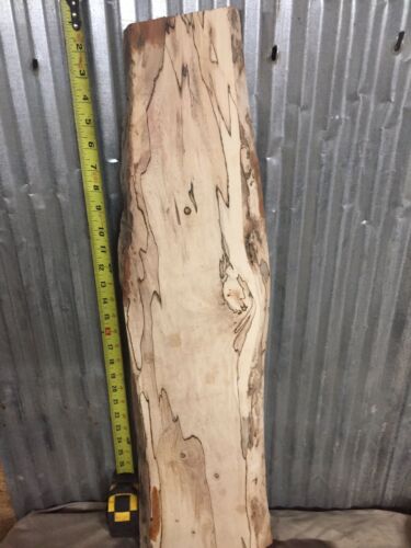Spalted White Ash Kiln Dried Slab Live Edge Turning Blank Decorative Accent Wood