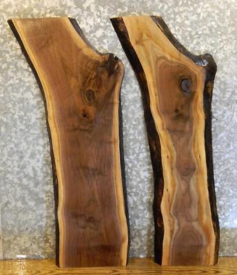 2- DIY Live Edge Black Walnut Charcuterie Boards/End Table Top Slabs 8459-8460