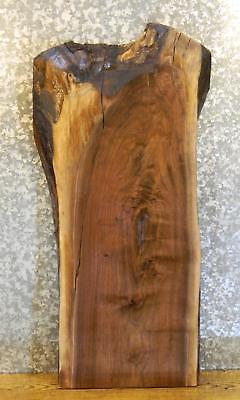 Natural Edge Black Walnut Console/Sofa/Coffee Table Top Wood Slab 1776